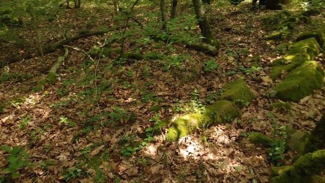 нашел неизвестные мне дольмены в Пшаде смотреть онлайн