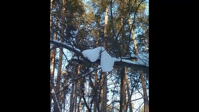 70 летию Курганской области Природа Зауралья смотреть онлайн