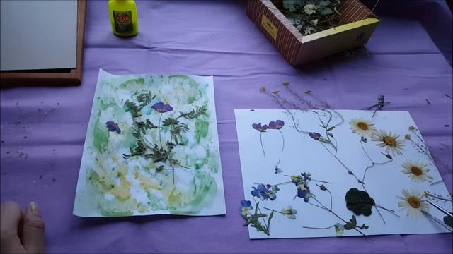 МК как сделать коллаж из сухоцветов под стеклом смотреть онлайн