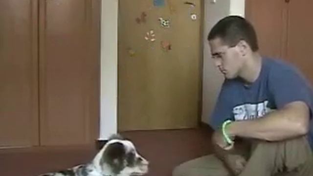 clicker смотреть онлайн