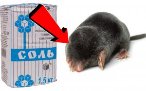 Как избавиться от кротов за 3 Секунды!