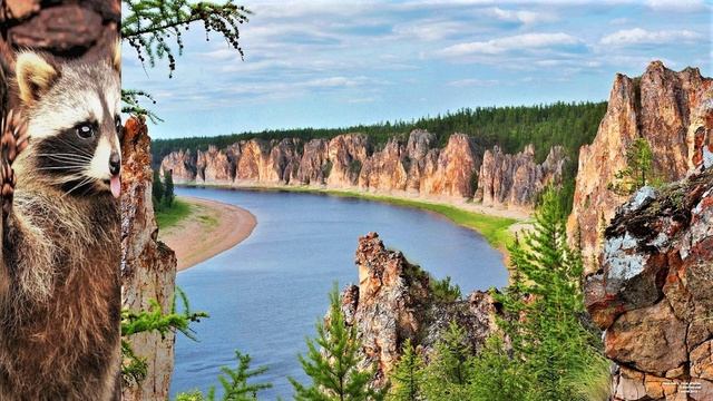 ✔ *АрхиСРОЧНО* «Сакральное Откровение самого ТВОРЦА !» #Вознесение смотреть онлайн