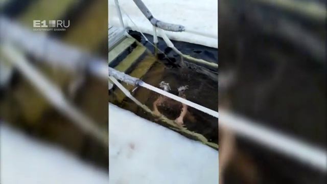 7-летний Тимофей первый раз окунается в купель смотреть онлайн