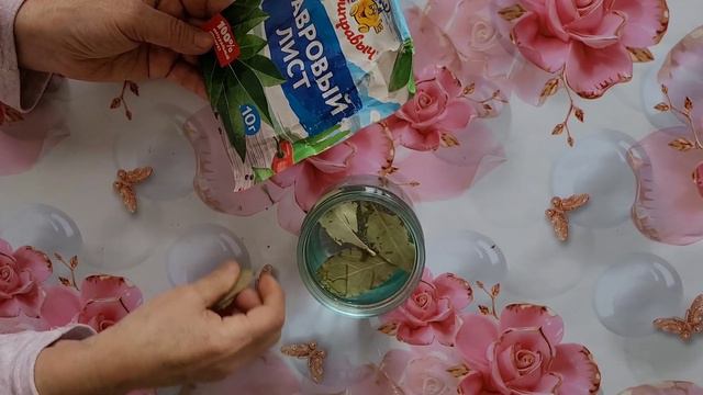 Лавр жапырағының гүлдерге пайдасы. #үйгүлдері #гүл #лавровыйлист смотреть онлайн