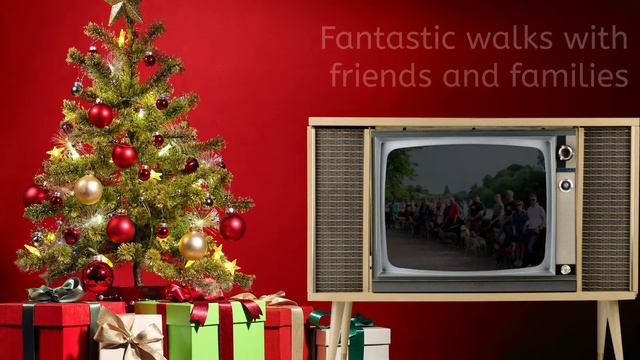 Hectors Greyhound Rescue Xmas 2021 смотреть онлайн