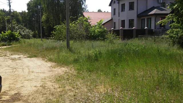 АССЕНИЗАТОРЫ