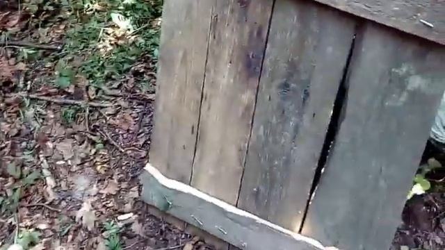 Обустройство места для отдыха в лесу. Костёр. смотреть онлайн
