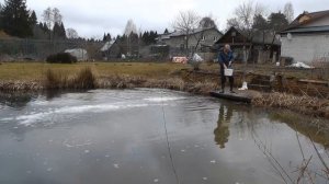 Весеннее известкование пруда с рыбой на своём участке
