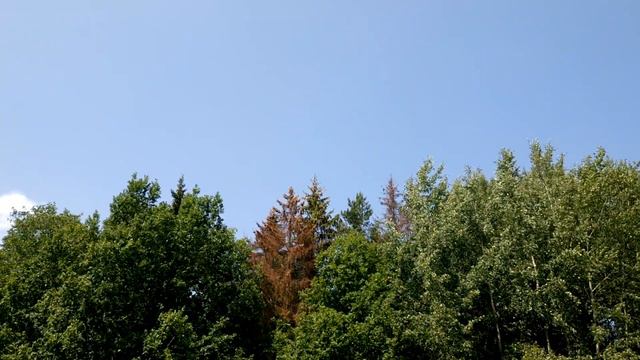 Искусственный МИР, голограмма, космоса НЕТ, виртуальная РЕАЛЬНОСТЬ, ИЛЛЮЗИЯ выбора, рабство, религи смотреть онлайн
