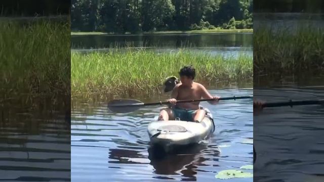 Boat dog in training смотреть онлайн