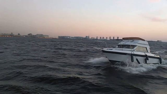 Bayliner 2556. Дизель Hyundai Seasall s250 смотреть онлайн