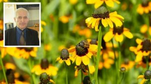 Кашковский. В какую сторону должны смотреть летки и количество ульев на одном точке.