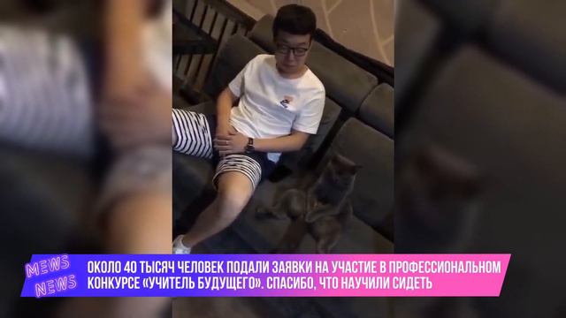 Кошки умнее некоторых людей... смотреть онлайн