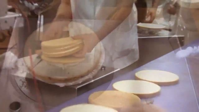 Линии и модульные системы BELDOS для автоматического и полуавтоматического производства тортов смотреть онлайн