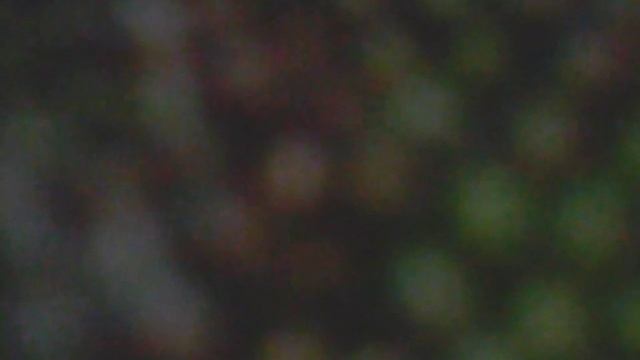 ГАБРИЭЛЛА-мой герой смотреть онлайн