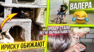 Прошу стало легче обрабатывать, рана заживает. Засняла драки в КотиЗале.