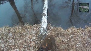 Рыбалка по Свердловской области в конце апреля 2020 года