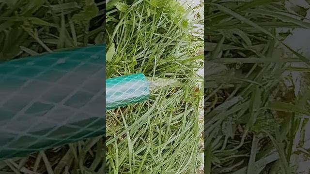как осушить бассейн