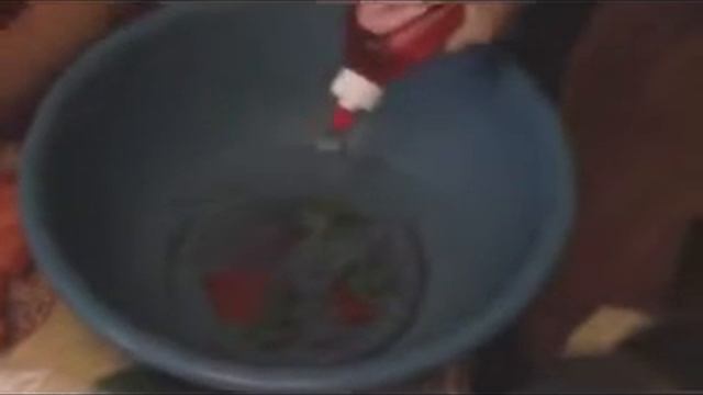 specializacia sherstj.WMV смотреть онлайн