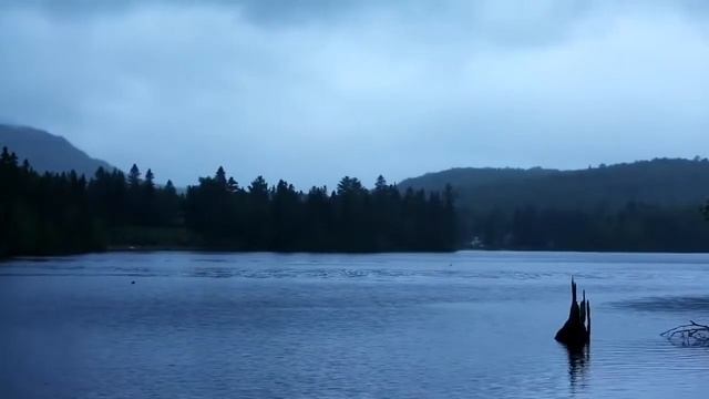 20 Минут МЯГКОЙ МУЗЫКИ для СНЯТИЯ СТРЕССА/ МЕДИТАЦИИ смотреть онлайн