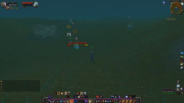 Murloc Poachers WoW Classic Quest смотреть онлайн