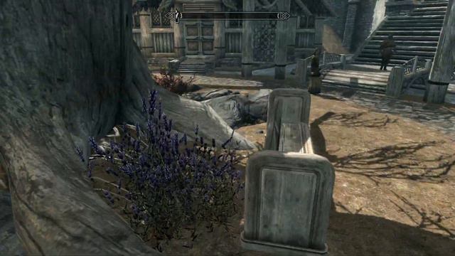 Прохождение Skyrim.Дорога в Вайтран смотреть онлайн