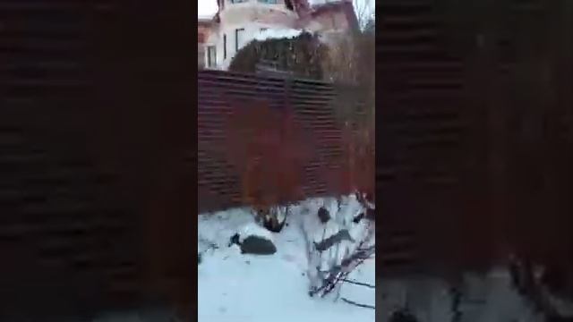 Монтаж забора-жалюзи в КП Краснолесье смотреть онлайн