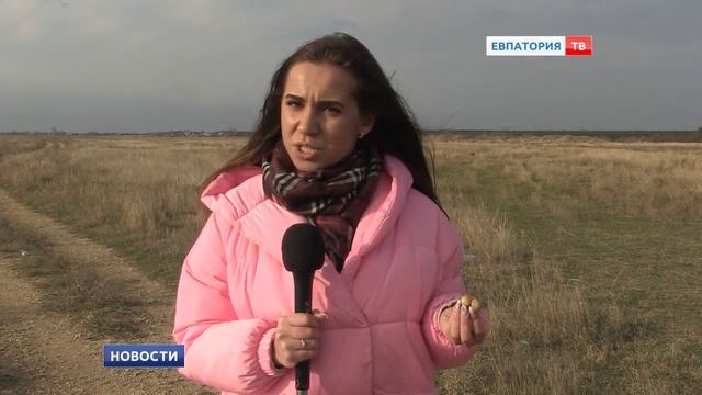 Какие грибы собирают евпаторийцы?