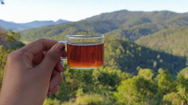 ПОЧЕМУ НЕЛЬЗЯ ОСТАВЛЯТЬ НЕДОПИТЫЙ ЧАЙ?! КАК ИЗБЕЖАТЬ ПРОБЛЕМ? Суеверия и приметы о чае. смотреть онлайн