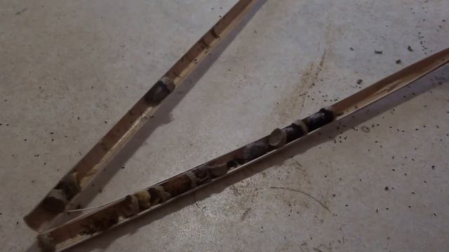 Неутешительное начало сбора урожая осмий. смотреть онлайн