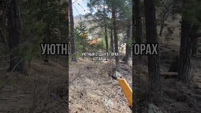 отдых в горах Алтая 🗻 Глэмпинг «108 ЖЕЛАНИЙ» #алтай #глэмпинг #путешествия смотреть онлайн