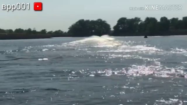 RXP260RS смотреть онлайн