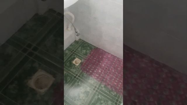 Гостиница "Турист" 3* (Махачкала). Недооцененный отель. #дагестан #махачкала #гостиницы смотреть онлайн