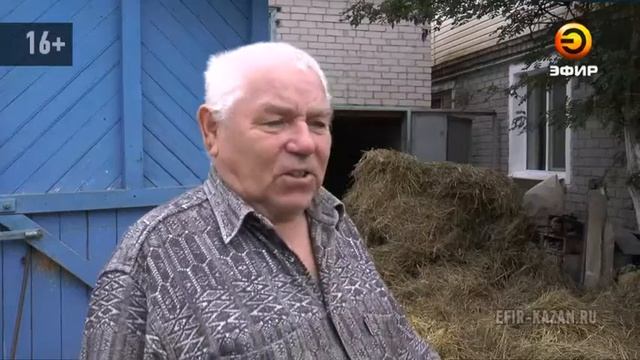 В Казани 75-летнего пенсионера обманули на сельскохозяйственной ярмарке смотреть онлайн