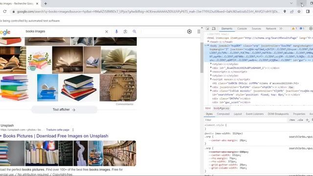 Scrape Google Images using Selenium смотреть онлайн