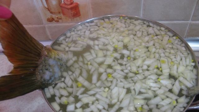 Сборник рецептов