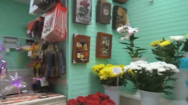 Выбор цветов смотреть онлайн