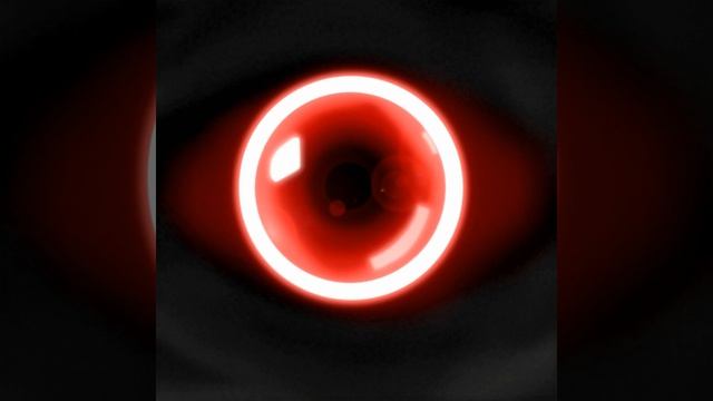 Seek and You Shall Behold - Mongo Bongo смотреть онлайн