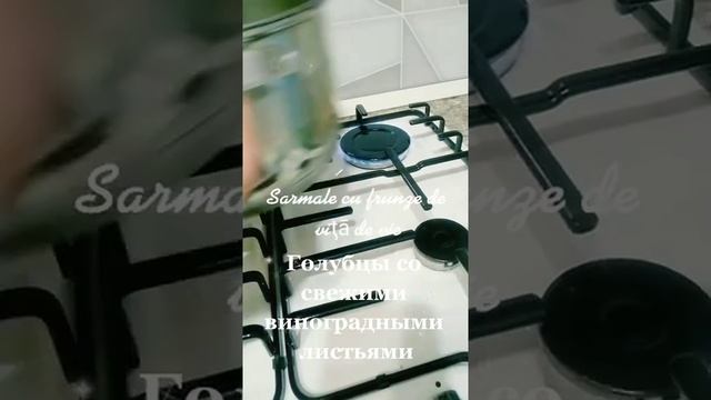 Голубцы со свежими виноградными листьями смотреть онлайн