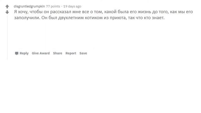 ЖИВОТНЫЕ НАЧАЛИ ГОВОРИТЬ, О ЧЕМ ВЫ СПРОСИТЕ ИХ? I апвоут raddit смотреть онлайн