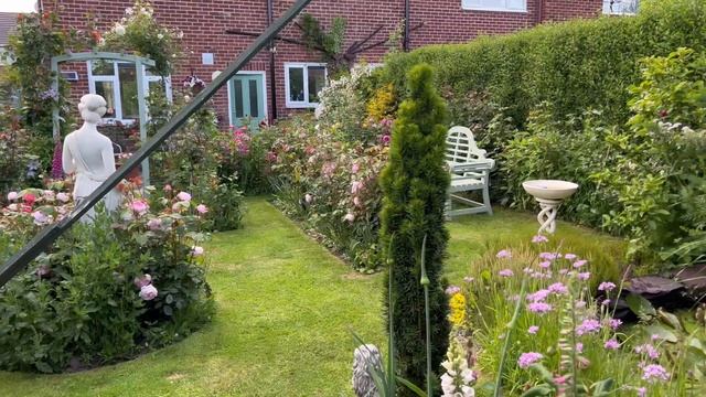 My English Rose Garden Up-Date | David Austin Roses | Climbers | Ramblers & much more! смотреть онлайн