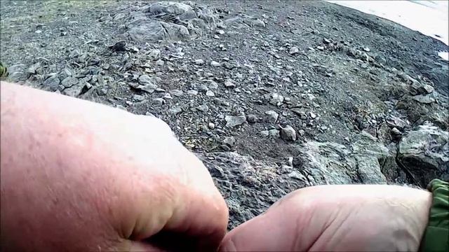 Опять Кокса нас порадовала, окунь на спиннинг на макалку.