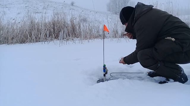 Ловля щуки на жерлицы. Обзор самодельных жерлиц. смотреть онлайн