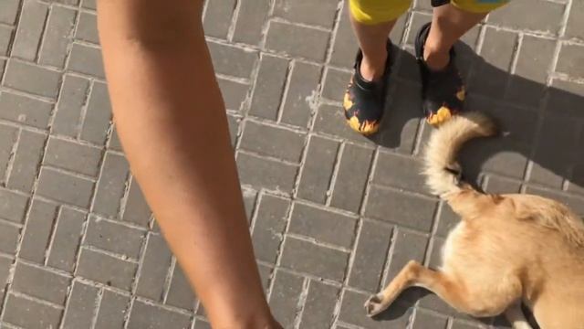 Бег в огненных Кроксах (Crocs)