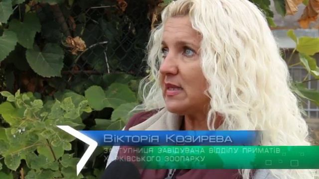У Харківському зоопарку святкують День вітань смотреть онлайн