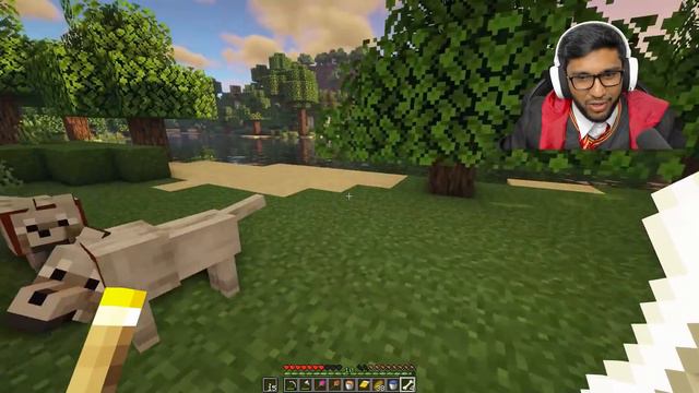 Minecraft BUT Custom Magic Wands смотреть онлайн
