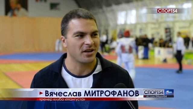 Чемпионат СФО по тхэквондо (ВТФ). Бердск 23.09.2017 смотреть онлайн