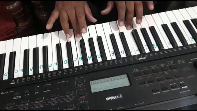 Music Lesson for Beginners by Naghman Javed смотреть онлайн
