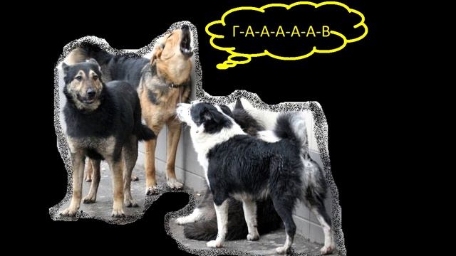 В эпицентре псовых дрязг. бинауральный звук смотреть онлайн