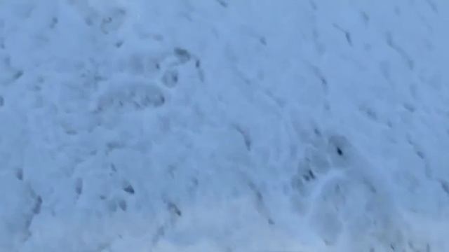 Кто продал Аляску? Продажа Аляски Александром вторым 1867 смотреть онлайн